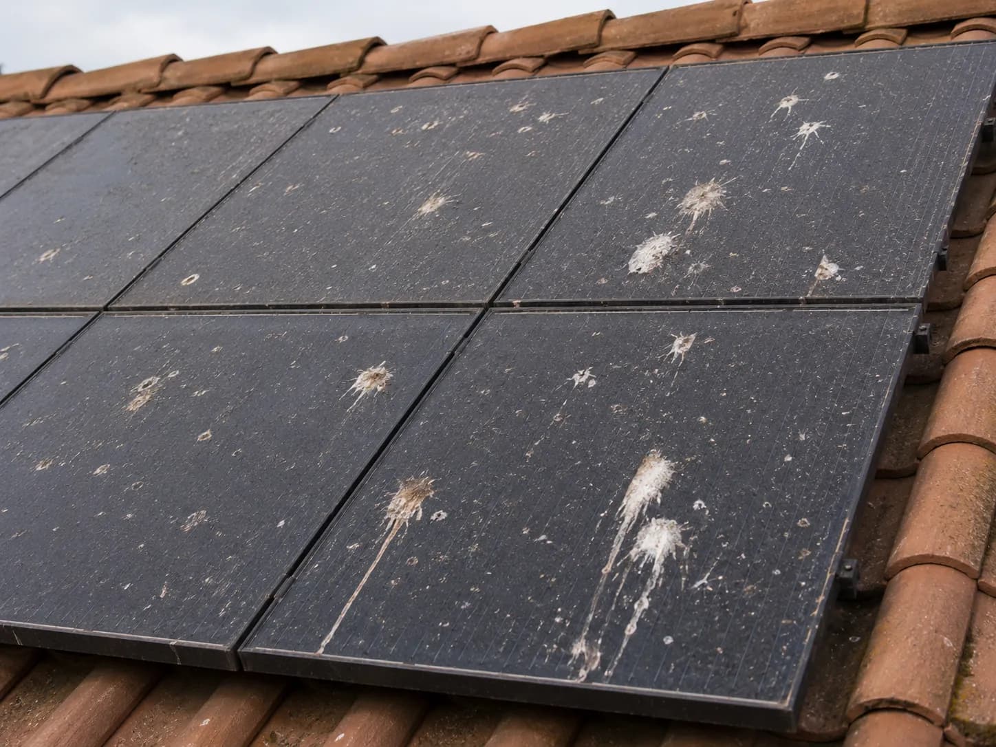 Solar Panel Cleaning before and after in Hidden Hills