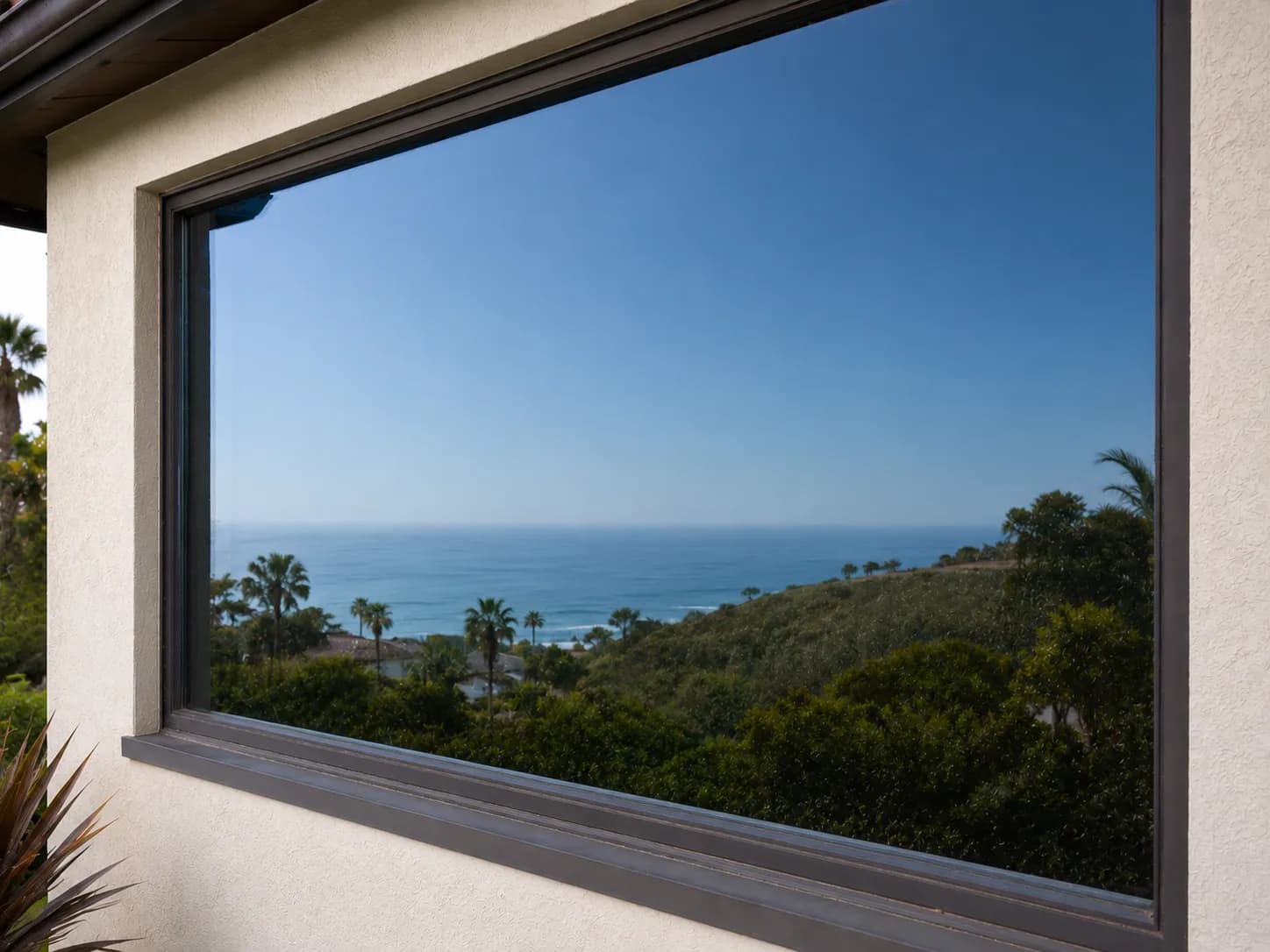 Window Cleaning before and after
